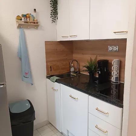 公寓 Agreable En Bord De